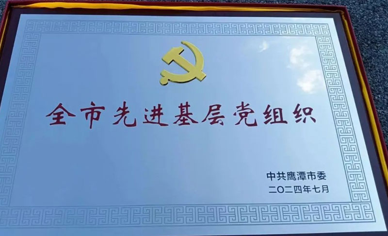 热烈祝贺耐乐铜业党支部再次获评市级先进基层党组织！
