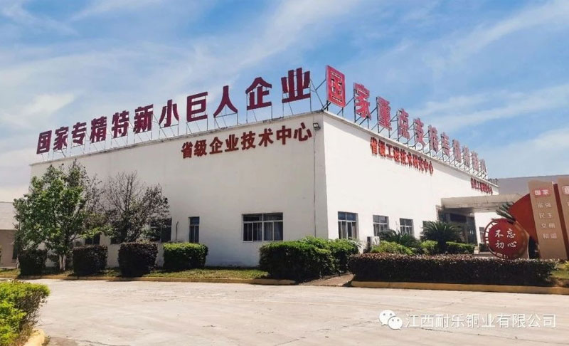 对坚决抵制享乐主义和奢靡之风行为的纪律规定