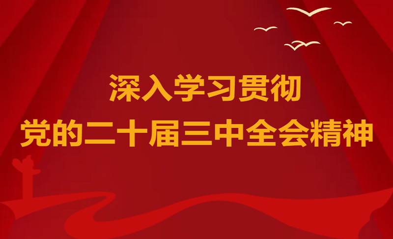 学思想 抓落实丨深入学习贯彻党的二十届三中全会精神，我们在行动！