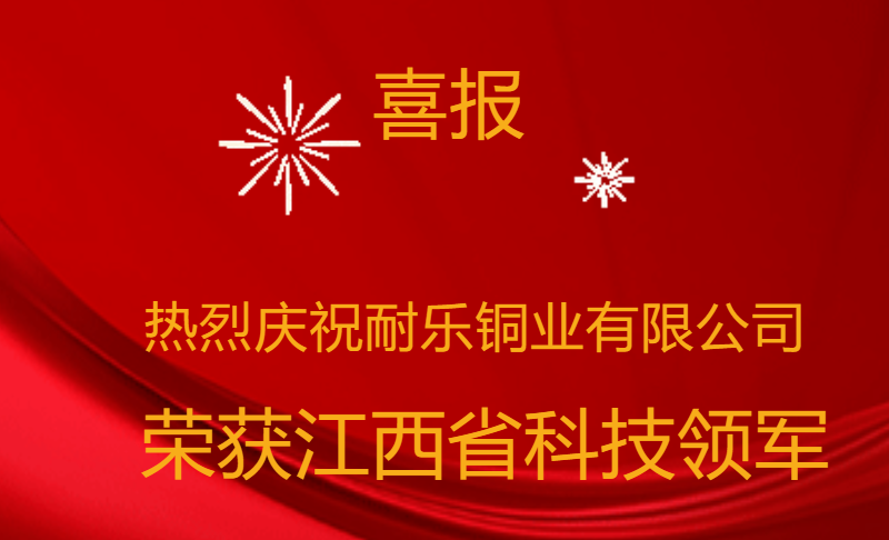 喜报|热烈庆祝我司荣获江西省科技领军入库企业！